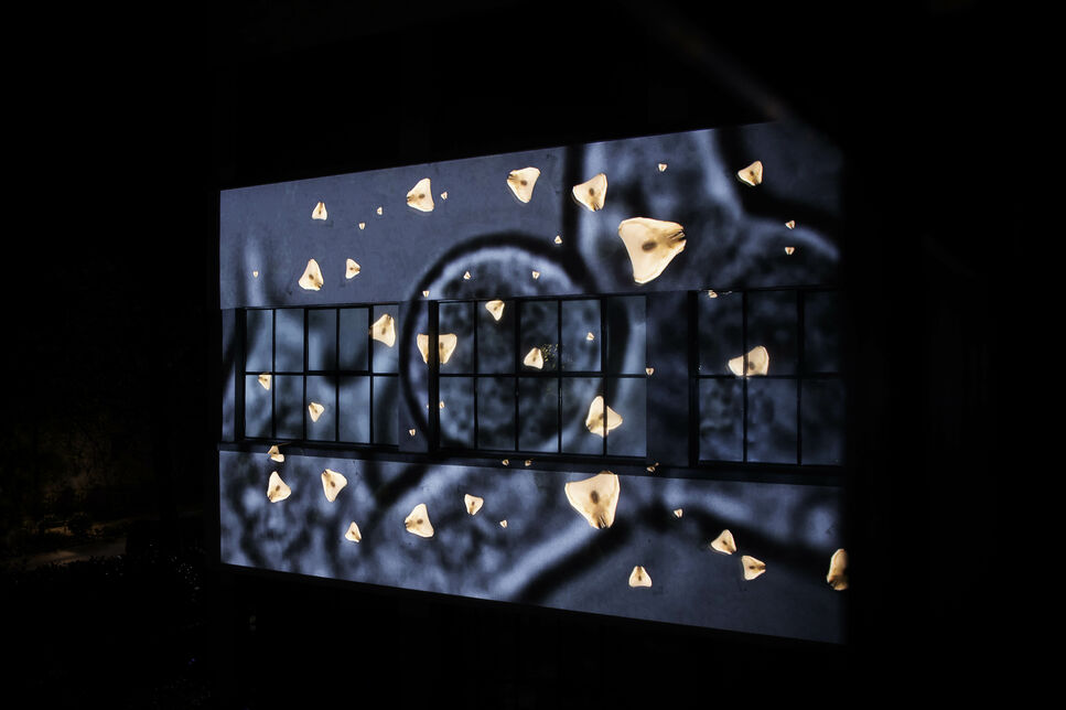BRAIN Bauhaus Event, Lichtkunstprojektion Moving Mitosis der Künstlerin Helga Griffiths