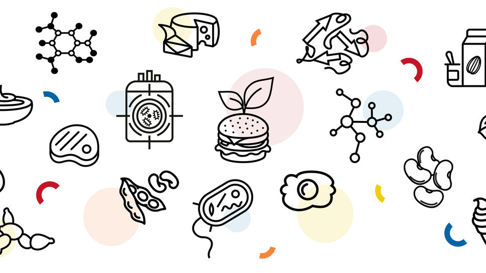 A collection of icons reffering to alternative proteins
